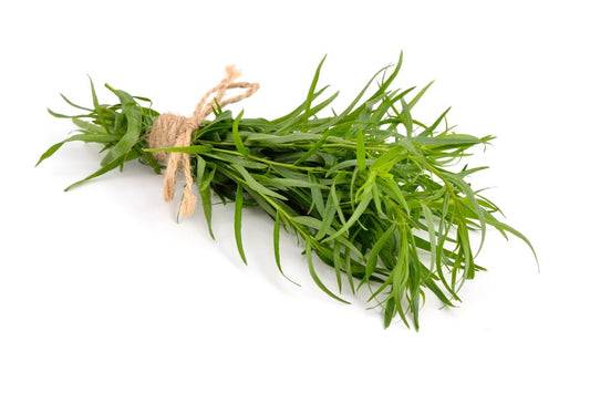 Bylinky - Estragón 30 g zväzok