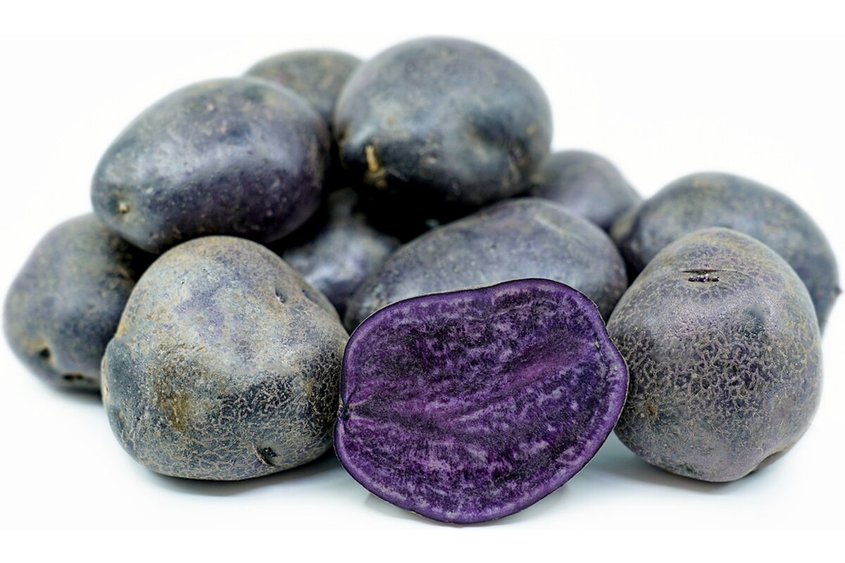 Zemiaky fialové violet