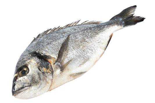 Ryba Pražma zlatá chladená 350 - 450 g